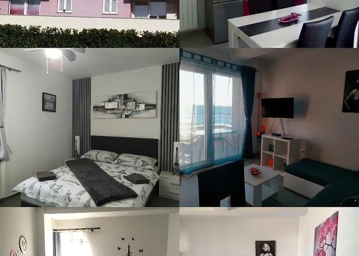 Lavanda * زادار